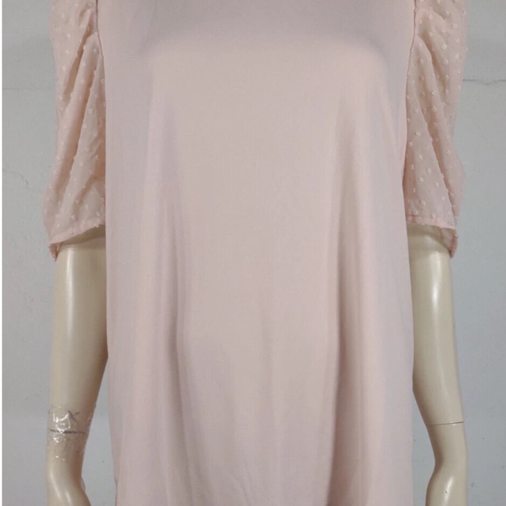 Adrianna Papell Dusty Pink Clip Dot Short Sleeve Blouse-Brand New Never Worn - Picture 2 of 7